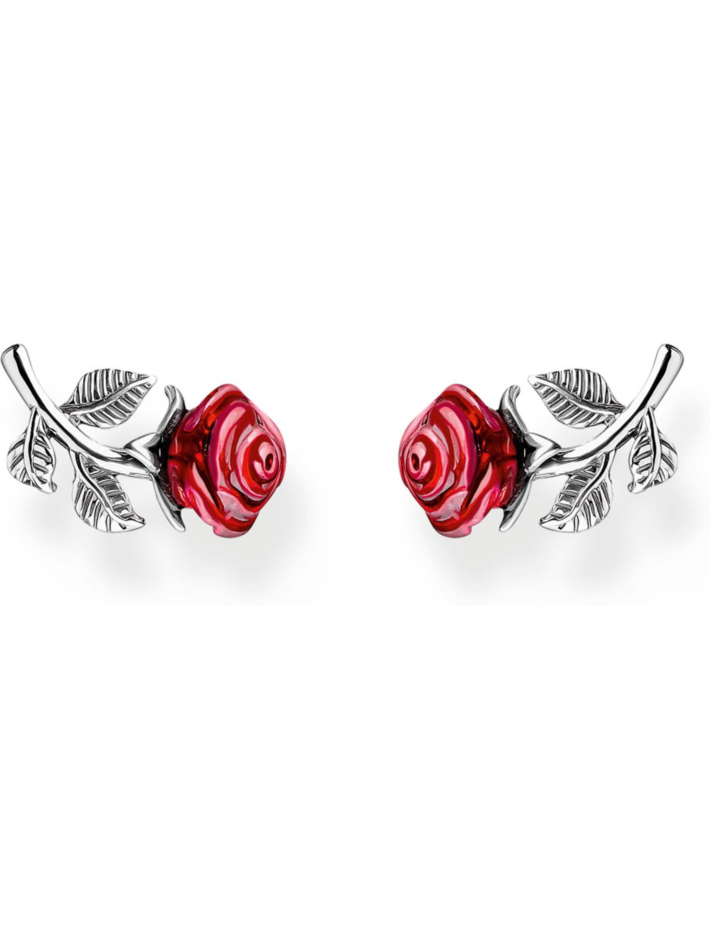 Thomas Sabo Earrings in Silver: front
