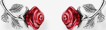 Thomas Sabo Earrings in Silver: front