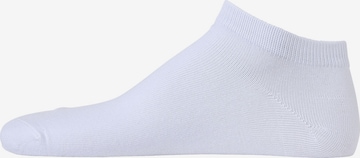 JACK & JONES Socks 'Dongo' in White