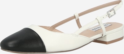 STEVE MADDEN Ballerina 'BELINDA' värissä musta / valkoinen, Tuotenäkymä
