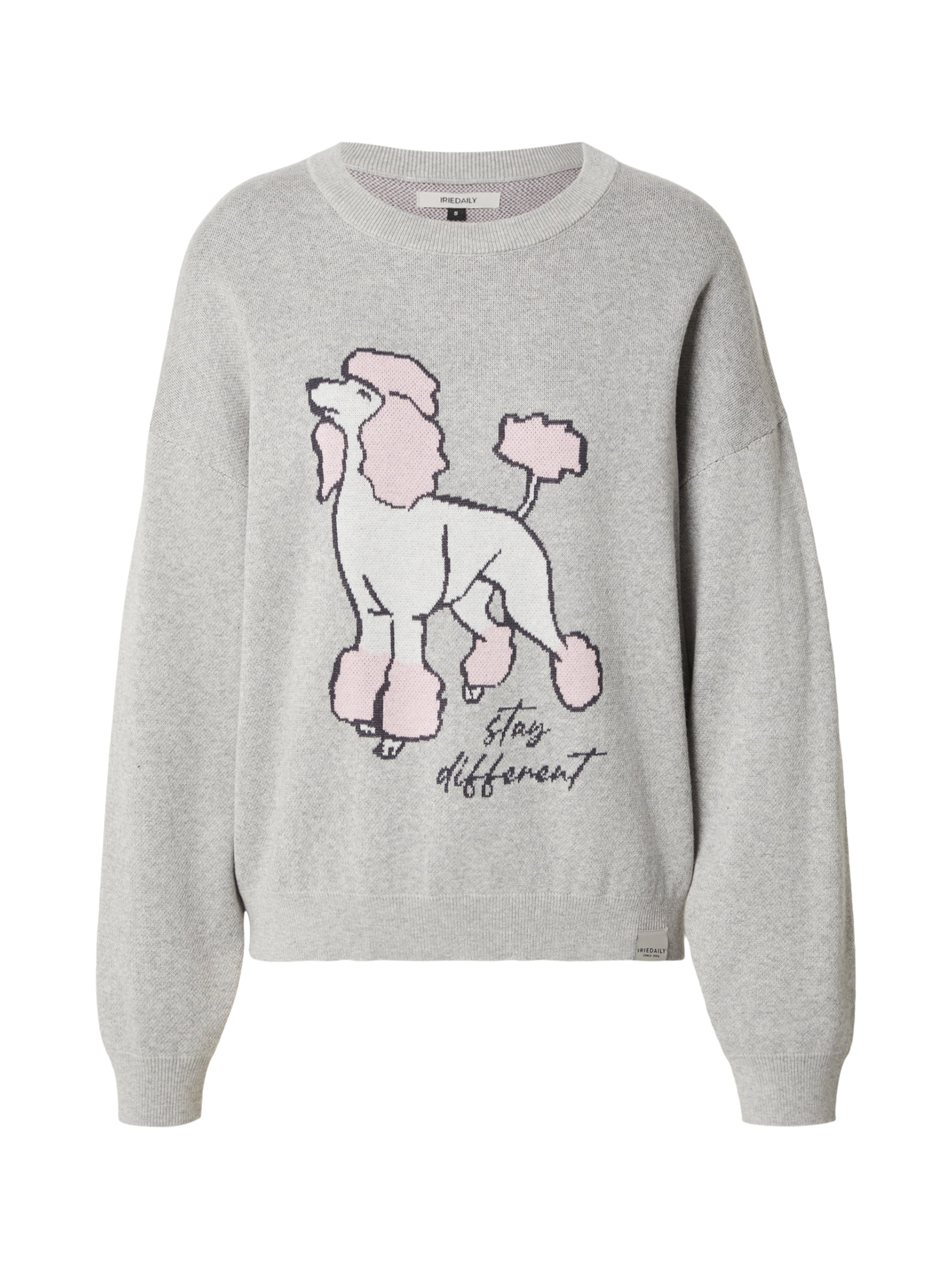 Iriedaily Pullover 'Rudy 2.0' in Grau: Vorderseite