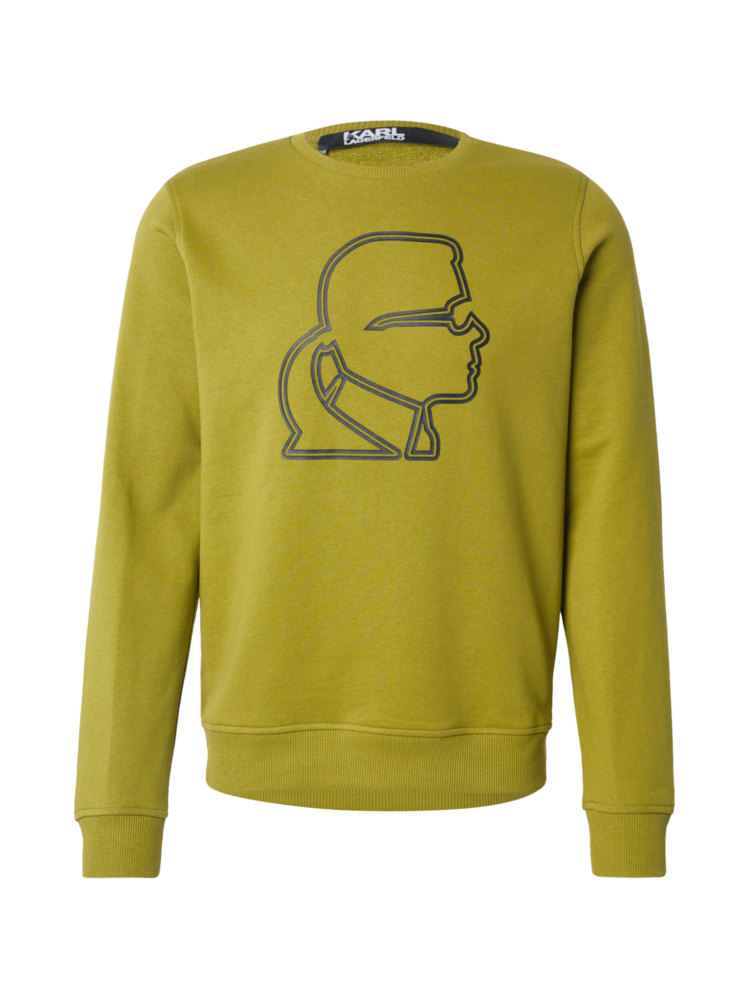 Karl Lagerfeld Свитшот в Зеленый: спереди