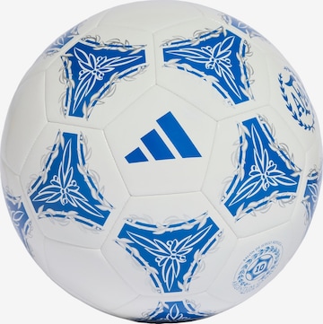 ADIDAS PERFORMANCELopta 'Argentinien AFA' - plava boja: prednji dio