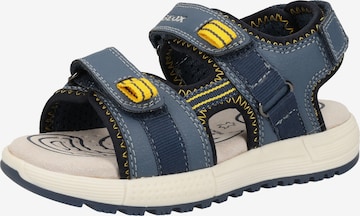 GEOX Sandals & Slippers 'Alben' in Blue: front