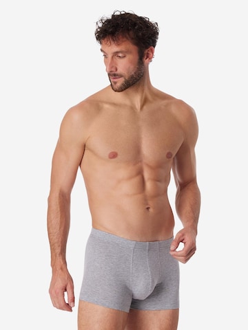 SCHIESSER Boxer shorts '95/5 Essentials - Cotton' in Mixed colours