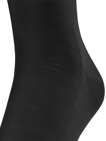 FALKE Kniestrümpfe 'ClimaWool'‌‌‌‌‌ in Schwarz