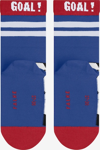FALKE Socks 'Active Soccer' in Blue: front