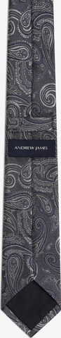 Cravate Andrew James en gris