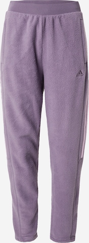 ADIDAS SPORTSWEAR Regular Sportbroek 'TIRO' in Lila: voorkant