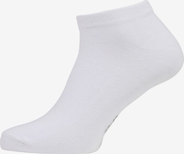Albert Schäfer Ankle Socks in White: front