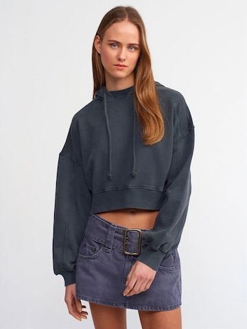 Dilvin Sweatshirt in Grey