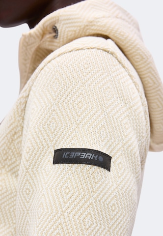 Veste en polaire fonctionnelle 'AUEN' ICEPEAK en beige