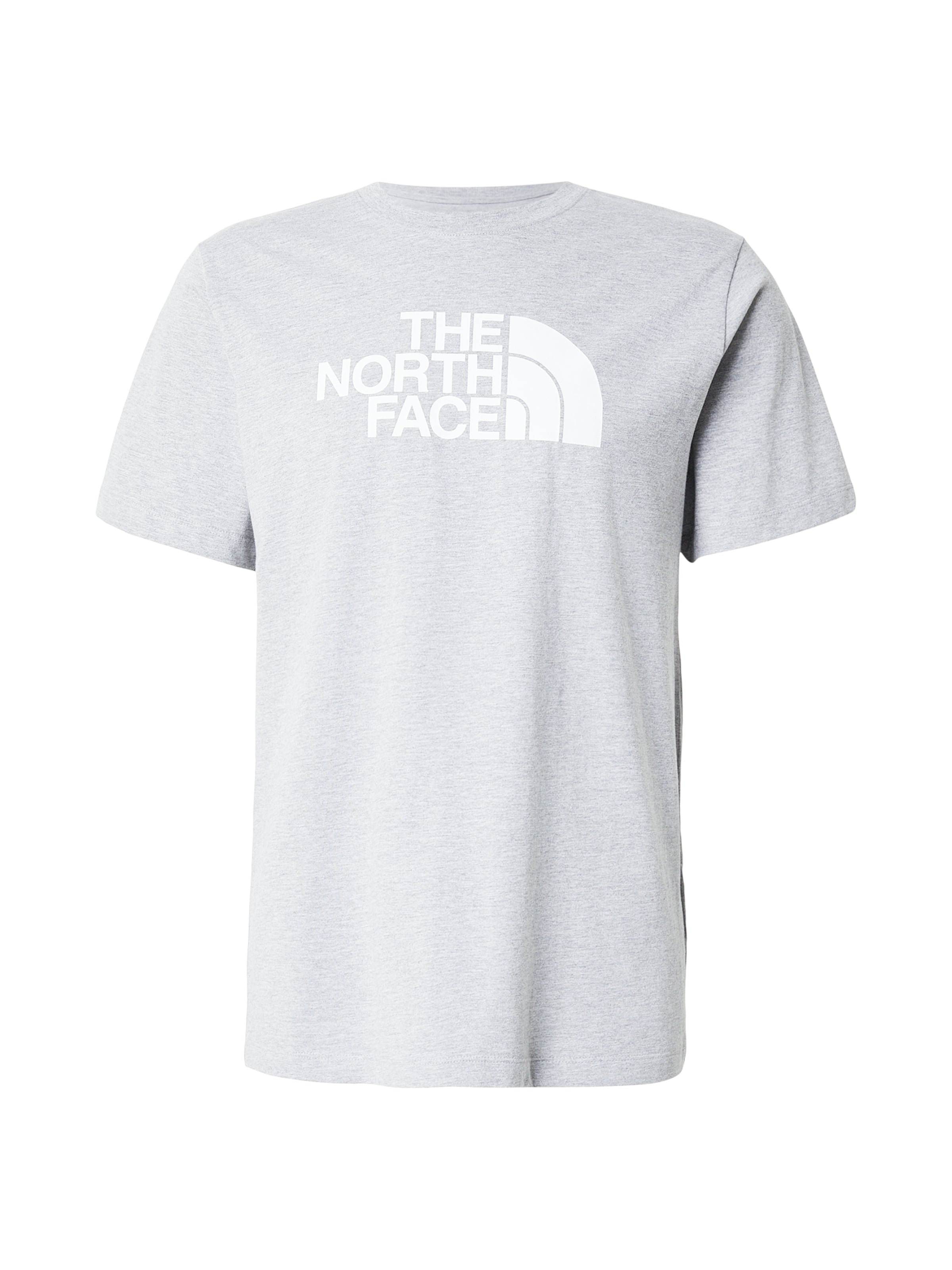 THE NORTH FACE Shirt 'EVOLUTION HALF DOME' in Grey: front
