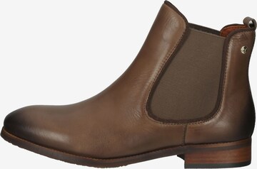 PIKOLINOS Chelsea Boots in Brown