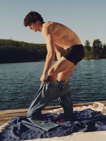 ZUBEK Boksershorts 'Men's Seaweed Tencel Boxer Briefs (Trunks) – 3 Pack' i sort