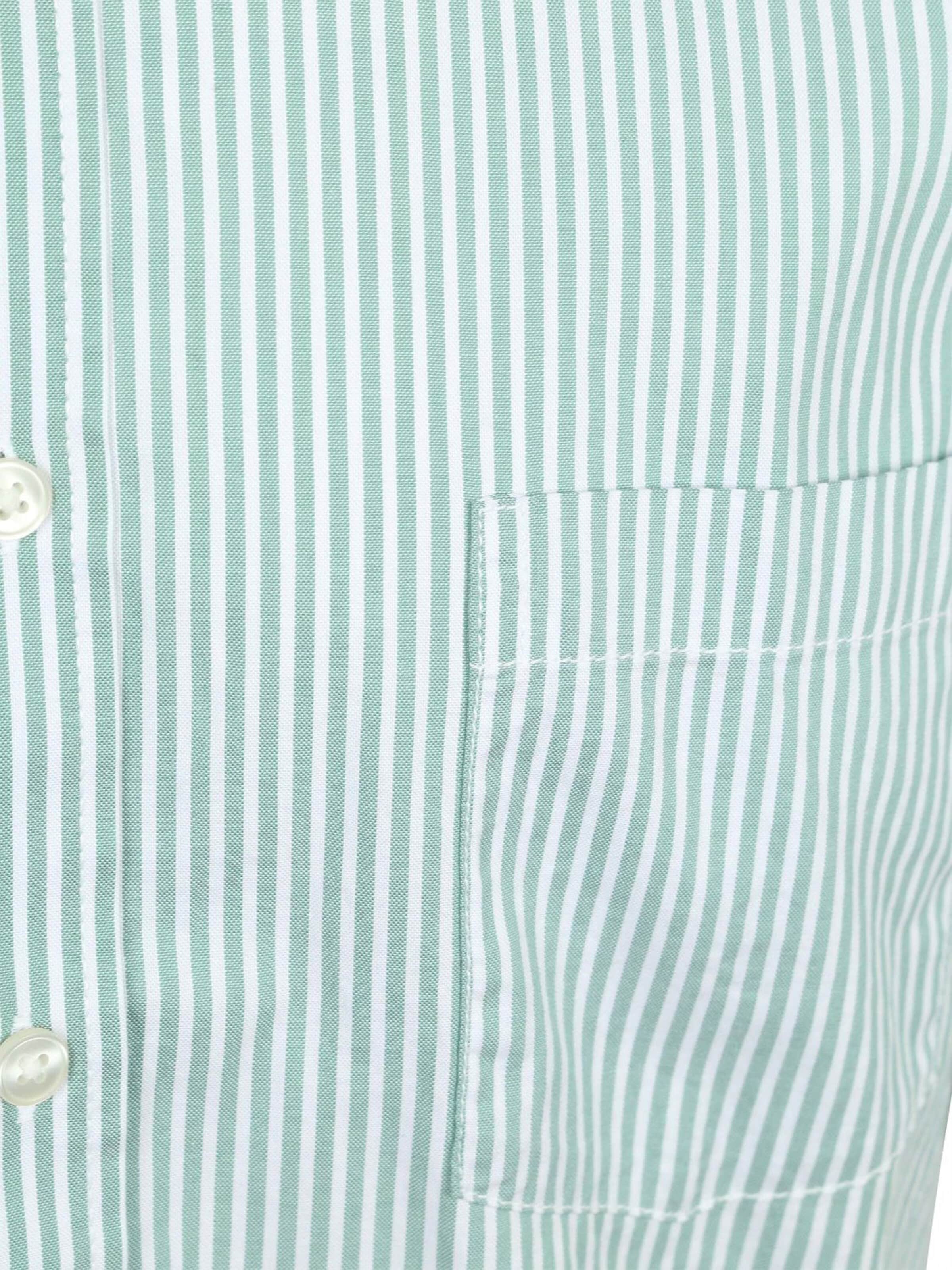 CASA MODA Regular fit Button Up Shirt in Green