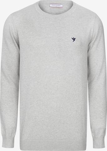 pilka Felix Hardy Megztinis: priekis