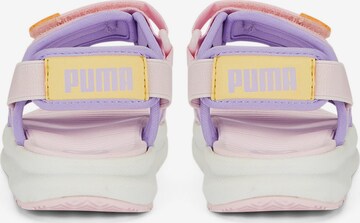 PUMA Strand-/badesko 'Evolve' i lilla