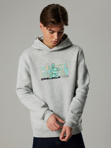 NAME IT Sweatshirt in Grey: front