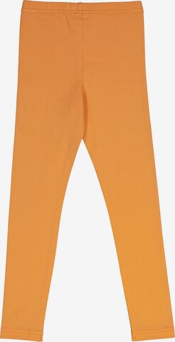 Coupe slim Leggings '3er-Pack' Fred's World by GREEN COTTON en orange
