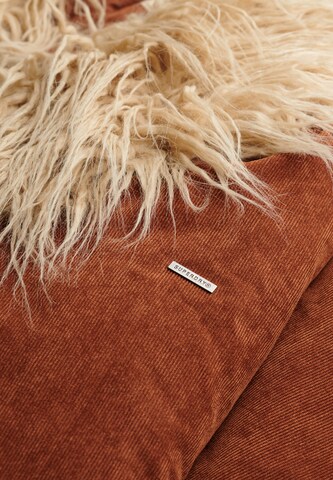 Manteau d’hiver Superdry en marron