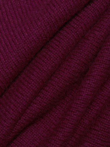 Brookshire Trui in Lila