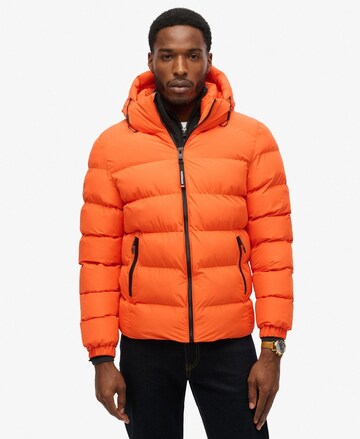 Superdry - Casaco de inverno em bege: frente