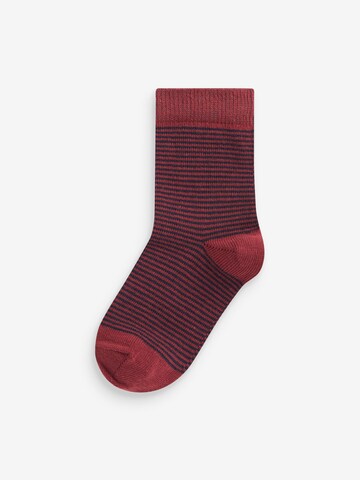 Chaussettes Next en mélange de couleurs