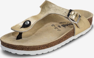 VITAFORM Zehentrenner in Gold: Vorderseite