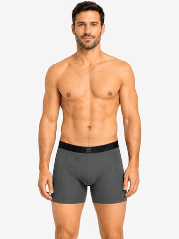 SITZTGUT Boxer shorts 'SITZTGUT Herren-Boxershorts 3er-Pack' in Grey: front