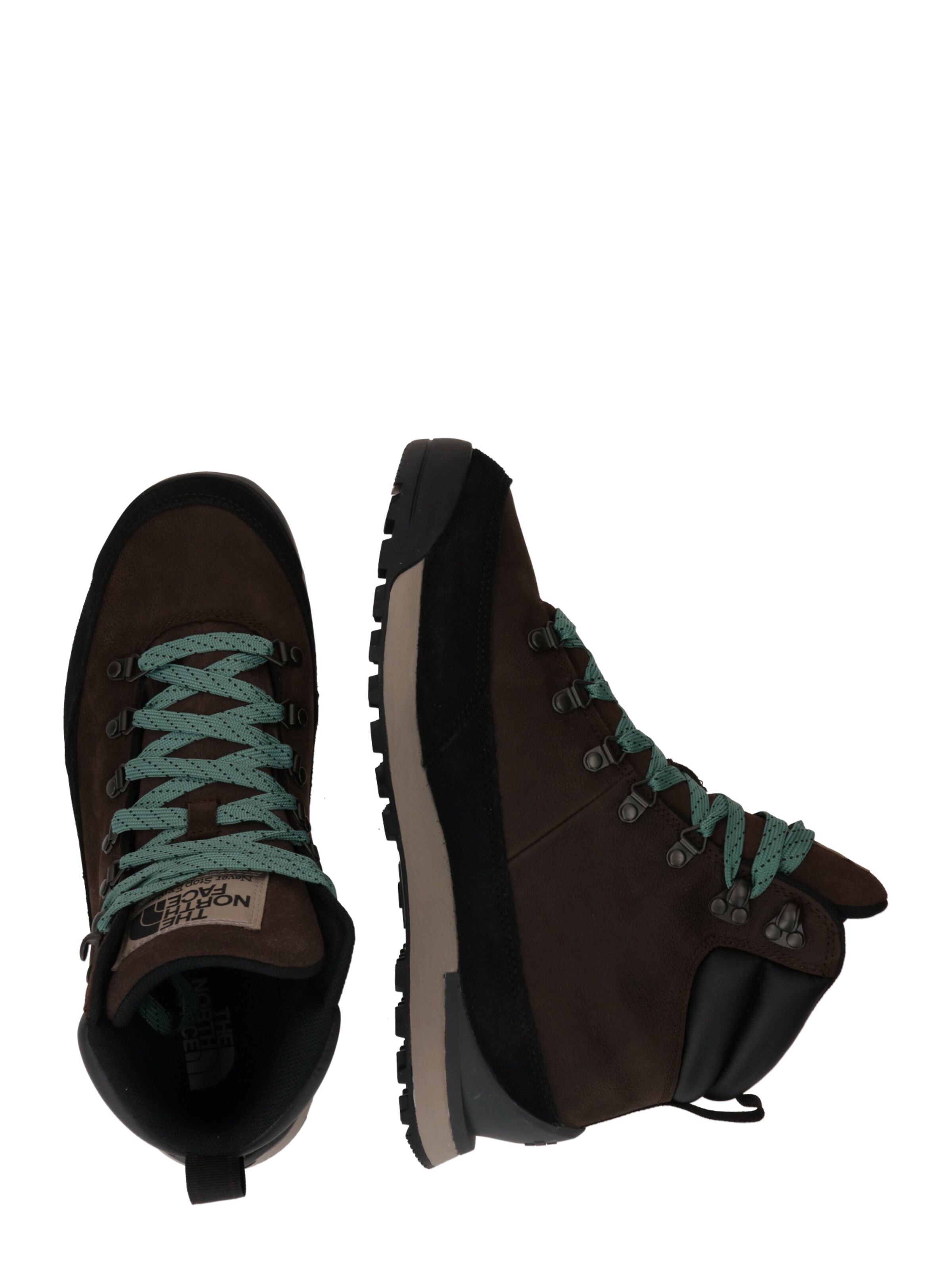 THE NORTH FACE Μπότες με κορδόνια 'Back To Berkeley IV' σε καφέ