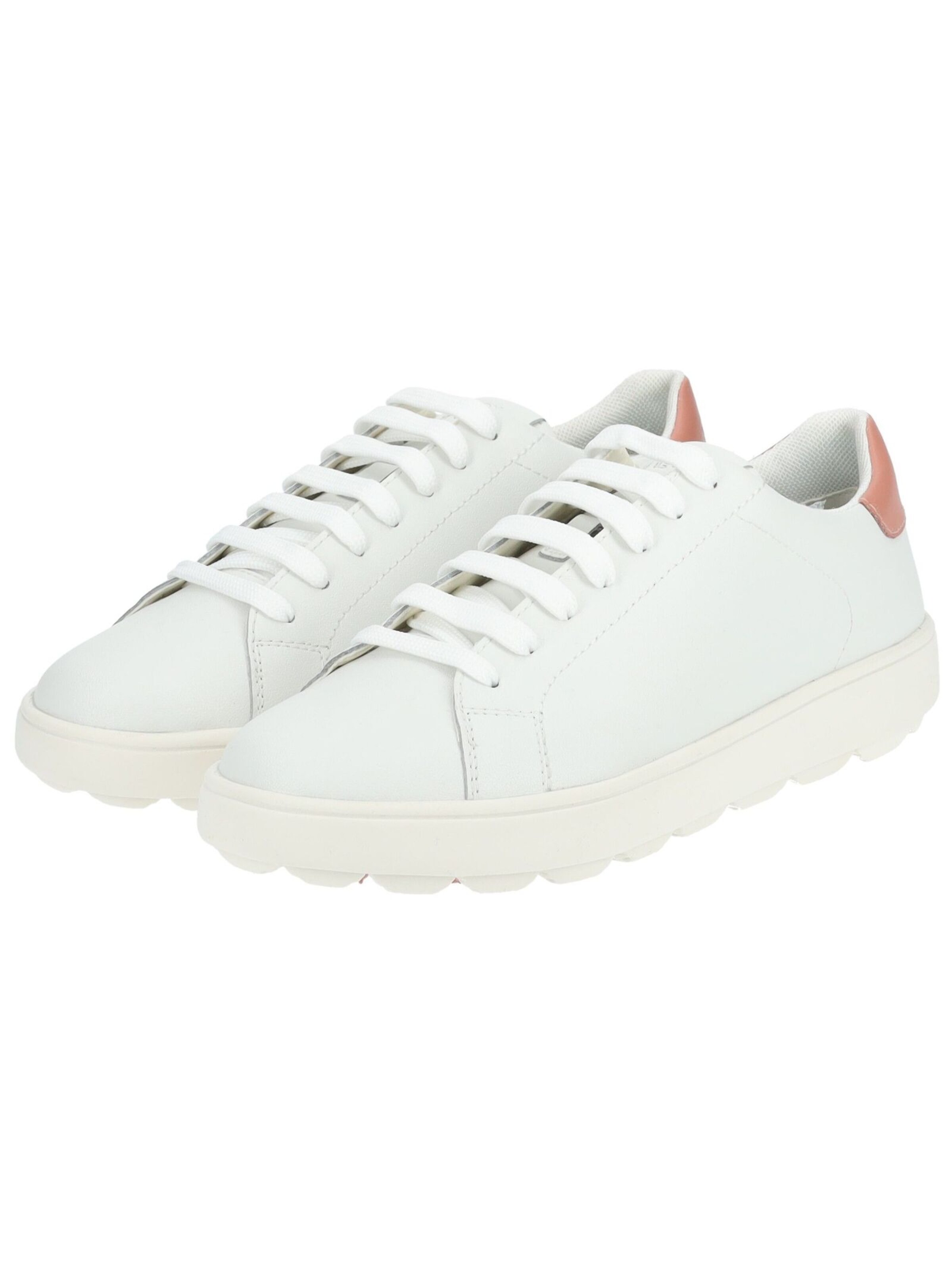 GEOX Sneakers in White