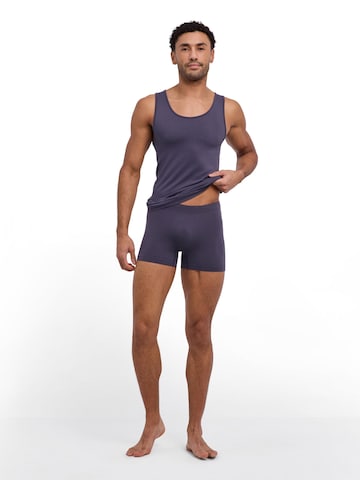 FALKE Boxershorts 'Seamless'‌‌‌‌‌‌‌ in Grau