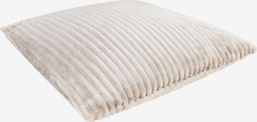 Aspero Pillow in Beige