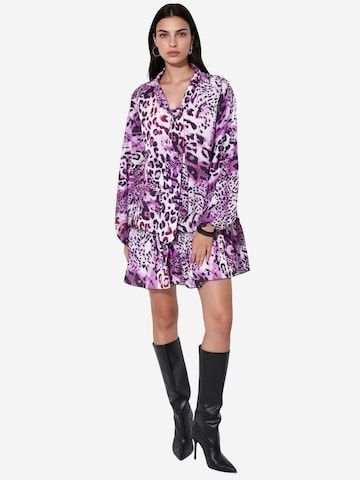 MSN Collection Obleka 'Mini' | mešane barve barva