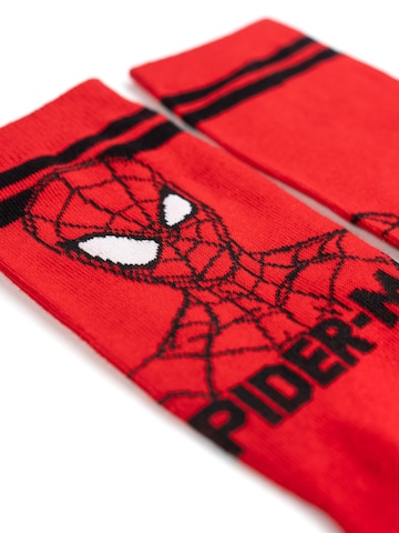 SPIDERMAN Socks in Mixed colours