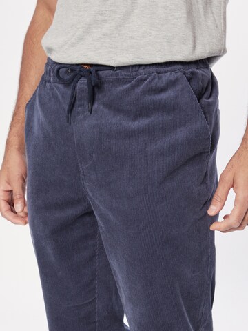 Iriedaily Regular Pants 'Trapas' in Grey