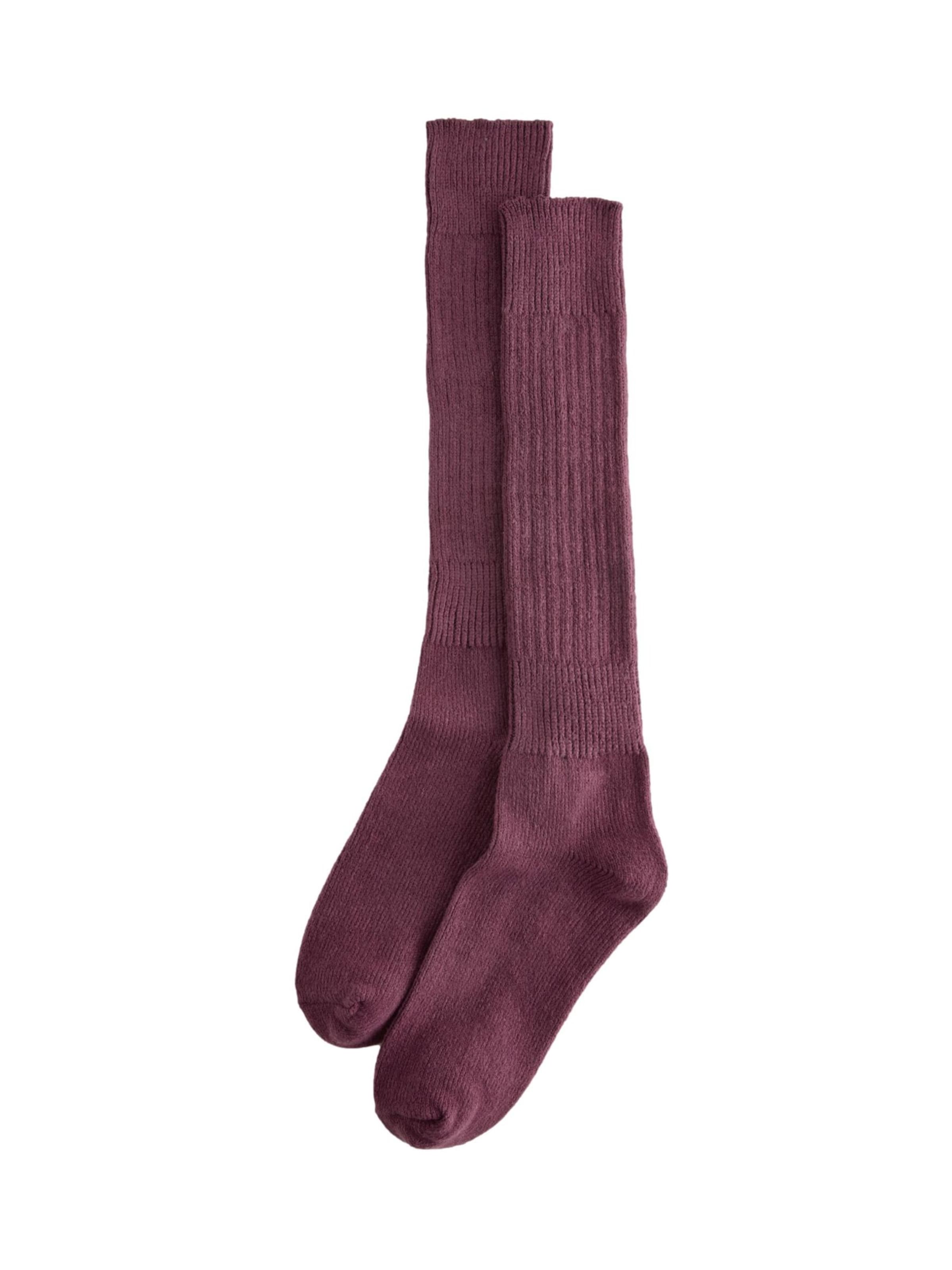 Chaussettes montantes Next en violet : devant