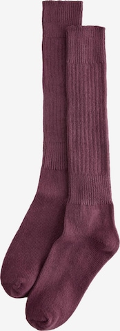 Ciorapi trei sferturi de la Next pe mov: față