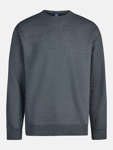 salzhaut Sweatshirt 'Floot' in Grau