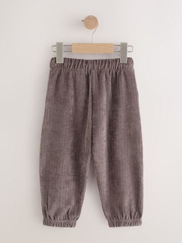 Tapered Pantaloni de la Next pe gri