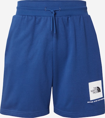Pantaloni di THE NORTH FACE in blu: frontale