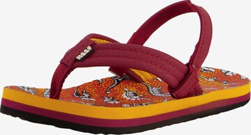 REEF Beach & Pool Shoes 'Little Ahi' in Red: front