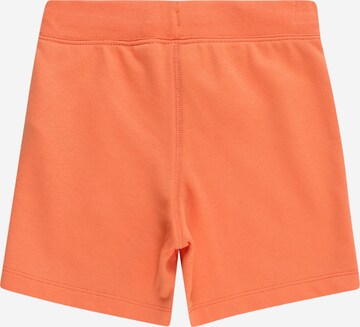 GAP Regular Shorts in Orange