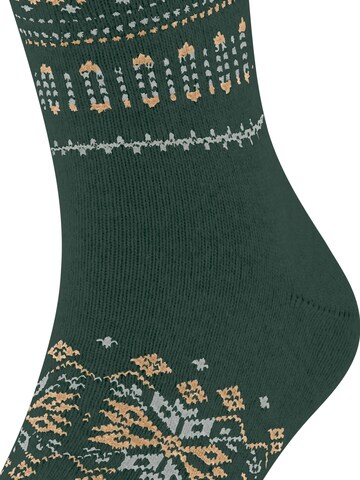 FALKE Socks 'Sky Limit' in Green
