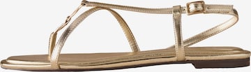 Tongs B by Ted Baker en or : devant