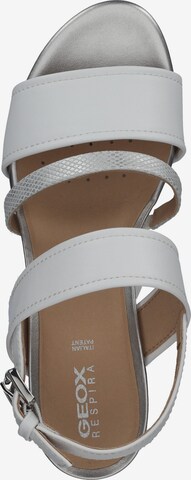 GEOX Sandalen met riem in Wit
