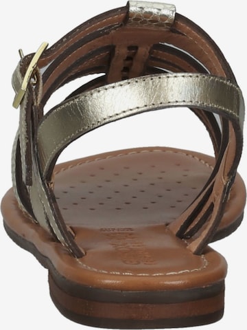 GEOX Strap Sandals in Gold