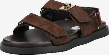 ruda STEVE MADDEN Basutės su dirželiais 'Mona-E': priekis