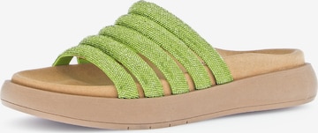 GABOR Pantolette in Grün: Vorderseite